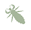 pictogramme termites
